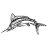 FISH0066